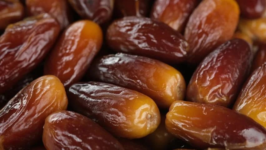 خرید خرما رطب تازه + بهترین قیمت